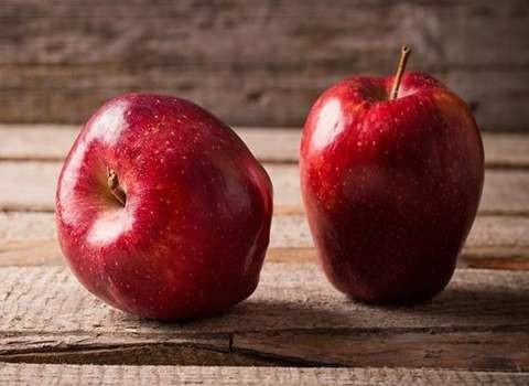 تصویر 2 از قیمت خرید سیب درختی صادراتی عمده به صرفه و ارزان